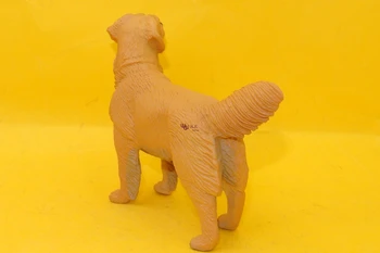 Horúce hračky:Golden Retriever Psa simulačný model Zvierat deti hračky pre deti, vzdelávacie rekvizity