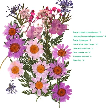 Stlačené Kvet Zmiešané Sušené Kvety DIY Umenie Kvetinový Dekoroch Kolekcie Darček Plavidlá DIY CLH@8